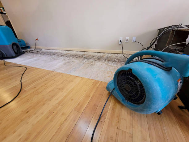 Reliable Emergency Water Removal contractor in Riegelsville, PA by Hirex Water Damage